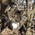 Renee Huettman Seymour's profile image