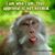 Esther Wallace's profile image