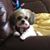 Jo Stegall's profile image