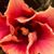 Kimberly Moore's profile image