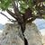 Dorthy McLeod Wood's profile image
