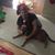 Shannon Hugueley's profile image