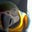 Dave Gartner's profile image