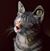 Brian Hess's profile image