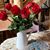 Terri Schnabel Jenkin's profile image