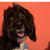 Lisa Davis's profile image