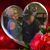 Jamie Ammons's profile image