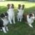 Chari L. Hopper's profile image