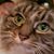 Cathy H. McHugh's profile image