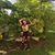 Cecilia Alegre's profile image
