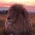 Galen Lohmeyer's profile image