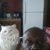 Rodney Wooten's profile image