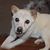 Amy Jo Martin's profile image