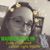 Cary Lynn Stewart's profile image