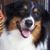 Faye Scott's profile image