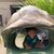 Angie Gamboa Enriquez's profile image