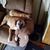 Kathy Hrolenok Slinger's profile image