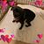 Tina Clenney Cordoba's profile image