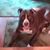 Mary Miller's profile image