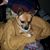 Linda Lonsford's profile image