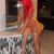 Dachka Danielle's profile image