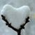 Barb Simpson Wilkinson's profile image