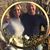Brad Goodin's profile image