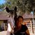 Griselda Leon's profile image