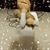 Susie Neary O'Bryan's profile image