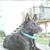 Debbie Dunn's profile image