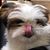 Sam Choi's profile image