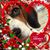 Rochelle Albee's profile image