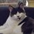 Patti Gunn Loyall's profile image