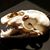 Matthew William Dollinger's profile image