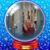 Mary Ryan's profile image