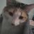 Tammie Moore's profile image