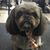 Michelle Elizabeth Haggard's profile image