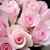 Amanda Sheppard Hall's profile image
