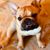 Carolyn August's profile image