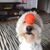 Debbie Stanley's profile image