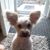 Raquel Anna Lee's profile image