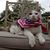 Stephanie Bystrak's profile image