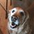 Jody Haslip's profile image