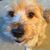 Anne M Bracker's profile image