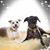 Deb Parsons's profile image