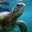 Marilyn Tefank's profile image