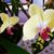 Gail Ratliff's profile image