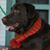 Mercedes Gonzalez-Pedrick's profile image