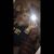 Lexie Moss's profile image