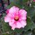 Becky Boudreaux's profile image